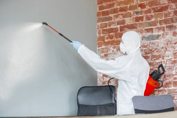 Best Water Damage & Mold Remediation  in Glendora, NJ